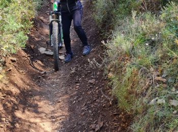 Trail Mountain bike Venelles - venelles isa jeff - Photo