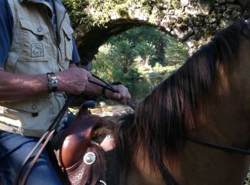 Trail Horseback riding Plainfaing - Acpl 2ème jour plainfaing  - Photo