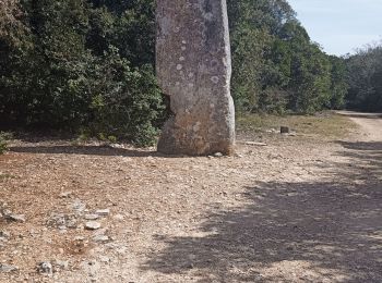 Tour Wandern Lussan - randonnée Prades les concluses  - Photo