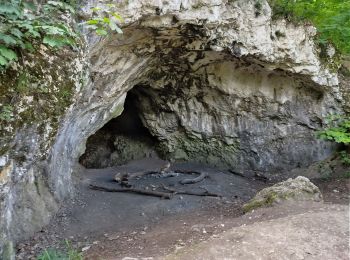 Percorso A piedi Csobánka - Mackó-barlang ösvény (Csobánka, Oszoly-pihenő - Mackó-barlang - Csobánka, Oszoly-pihenő) - Photo