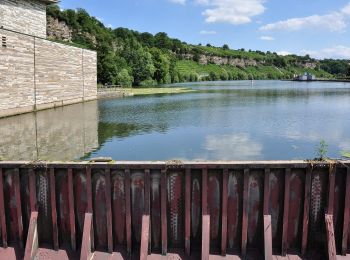 Tour Zu Fuß Remseck am Neckar - Poppenweiler - Remseck - Hegnach - Waiblingen - Photo