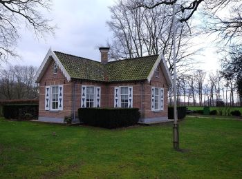 Randonnée A pied Raalte - WNW Salland - Lierderholthuis - oranje route - Photo