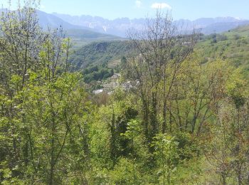 Tour Wandern Monteynard - monteynard 2019 - Photo