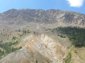 Tour Wandern Bielsa - Collado La Cruz de la Guardia - Photo