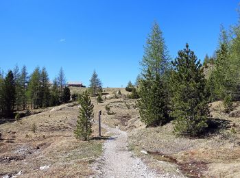 Randonnée A pied Badia - Abtei - Monte Cavallo Ferrata - Photo