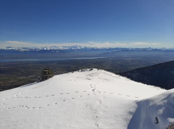 Tocht Sneeuwschoenen Gex - La Faucille_Montrond 11km 20200220 - Photo