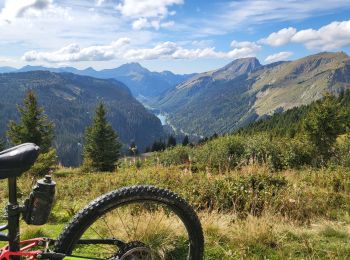Trail Mountain bike Montriond - lindaret lac de la plagne - Photo