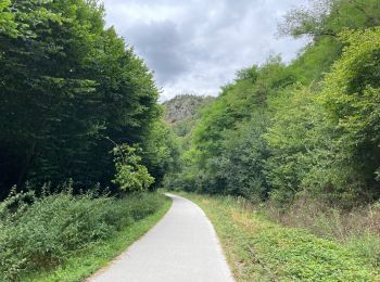 Trail Road bike Montillières-sur-Orne - Voie verte suisse normande - Photo