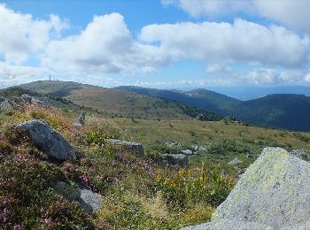 Randonnée Marche Vollore-Montagne - Vollore_Lit_Vierge - Photo