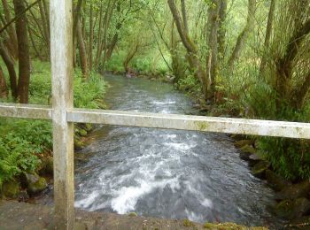 Trail On foot Partensteiner Forst - Kulturweg Neuhütten - Photo