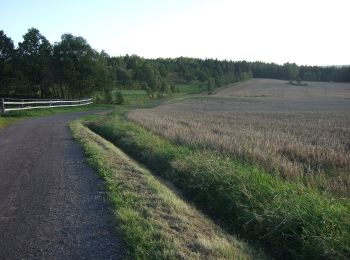 Trail On foot Unknown - Bankerydsleden - Photo