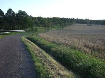 Tocht Te voet Onbekend - Bankerydsleden - Photo