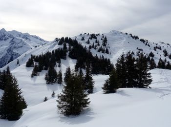 Tocht Sneeuwschoenen Crêts-en-Belledonne - Grand-Rocher-2021-02-16 - Photo