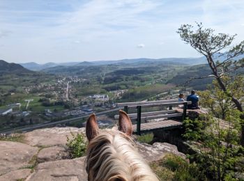 Tocht Paardrijden Étival-Clairefontaine - suuntoapp-HorsebackRiding-2024-04-14T08-00-40Z - Photo