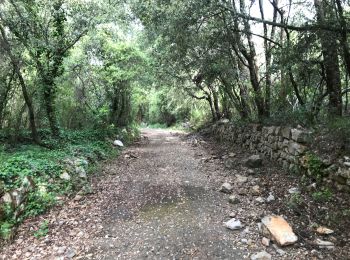 Trail Walking Draguignan - Draguignan ancien Malmont 8 km  - Photo