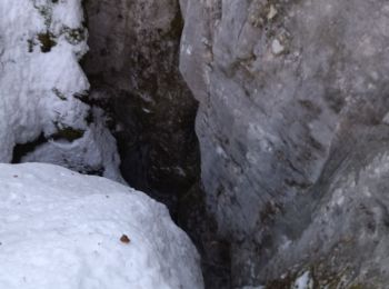 Randonnée Raquettes à neige La Chapelle-en-Vercors - 26 raq claveyron - Photo