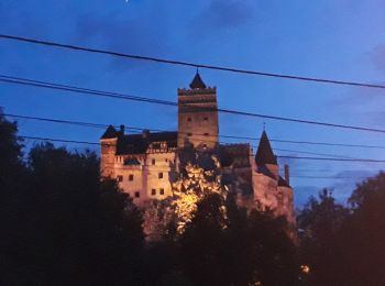 Trail On foot Bușteni - Bran - Șaua Țigănești - Cabana Omu - Photo