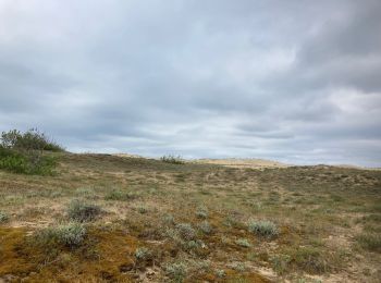 Tocht Stappen La Tremblade - Phare de la Coubre - Photo