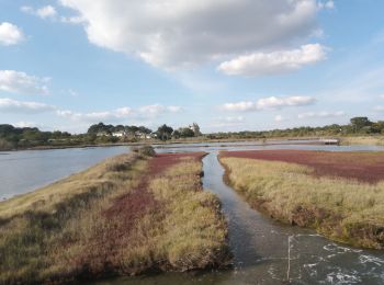 Trail Walking Sarzeau - SARZEAU - Photo