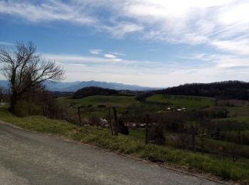 Randonnée Marche Bessins - Au dessus de Bessins - Photo