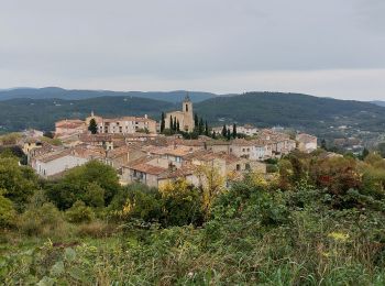 Randonnée Marche Flayosc - flayosc  - Photo