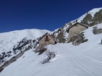 Trail Touring skiing Valdeblore - Mont Giraud - Photo