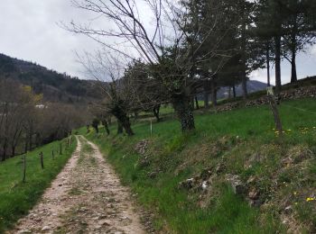 Excursión Senderismo Prades - Balade Prades-Le Courtiol-Bois la Peyre-Sausse - Photo