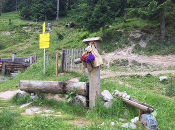 Percorso A piedi Ramsau am Dachstein - Fünf-Hütten-Weg 