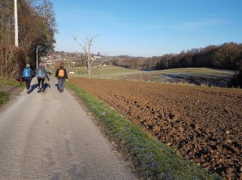 Percorso Marcia Jemeppe-sur-Sambre - 2019-01-19 Spy 24 km - Photo