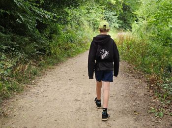 Tour Wandern Plestin-les-Grèves - 2024 RA Bretagne  St Efflam - Locquirec  - Photo