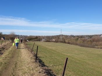 Trail Walking Montigny-le-Tilleul - Marche Adeps à Montigny-le-Tilleul - Photo
