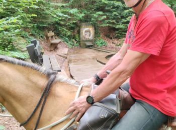 Trail Horseback riding Saverne - 2eme partie grotte saint vit - Photo