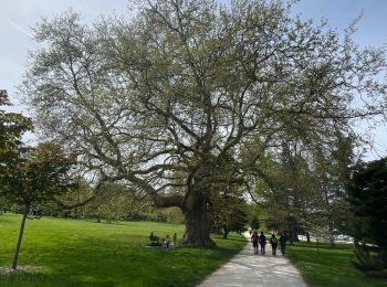 Tour Wandern Bussy-Saint-Georges - Randonnée parc de Renty - Photo