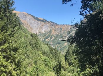 Trail Walking Les Deux Alpes - Chemin de la Muzelle - Photo