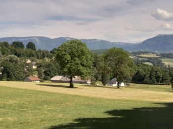 Tour Wandern La Biolle - La Biolle - Photo