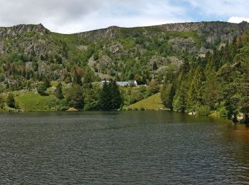 Tocht Stappen Soultzeren - Lac des Truites - Sentier du Neunlist  - Photo