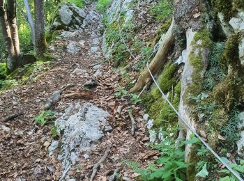 Trail Walking Fillière - 12-06-2022 Col de l'Enclave  - Photo