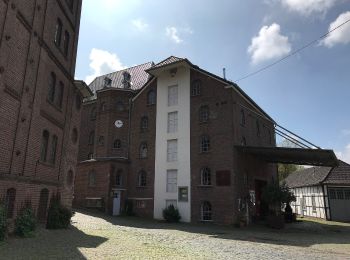 Tour Zu Fuß Kirchen (Sieg) - Jugendherbergsweg Freusburg - Photo