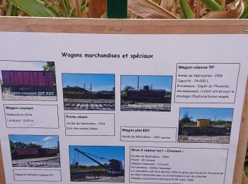 Tour Wandern Wigingen - vigy  - Photo