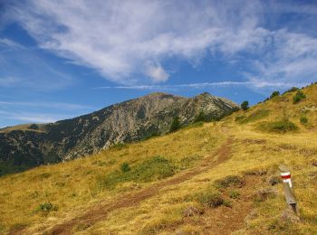 Percorso A piedi Valmanya - Tour del Canigó - Photo