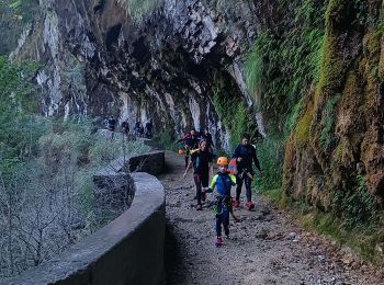 Trail Walking Cognin-les-Gorges - pied Aigu - Photo