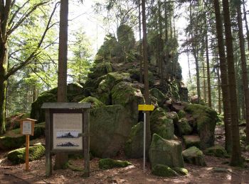 Trail On foot Sankt Oswald bei Freistadt - Panoramaweg - Mitterbach - Photo
