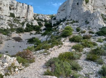 Tocht Stappen Marseille - Callelongue - Corniche Salis - Pas de Gracia - Grotte Roland  - Photo
