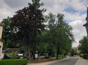 Tocht Te voet Ilmenau - Bob- und Rodelweg - Photo