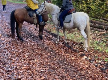Trail Horseback riding Neuviller-lès-Badonviller - Ar direction angomont  - Photo