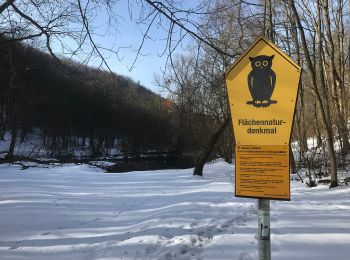 Randonnée A pied Inconnu - Jena-Fürstenbrunnen-Wogau - Photo