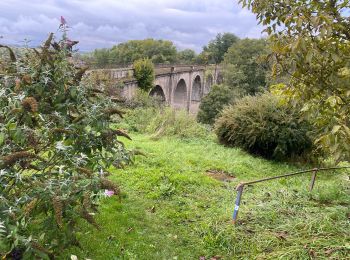 Randonnée Marche Passavant-la-Rochère - 24 10 02 la rochere  - Photo