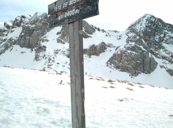 Excursión Esquí de fondo Morzine - Bostan par les Mines d Or  - Photo