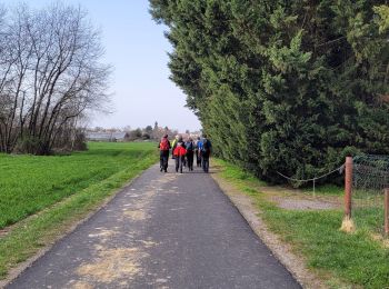 Trail Walking Yerres - Boucle Yerres - Villecresnes - Mandres - brunoy  - Photo