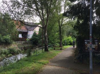 Tour Zu Fuß Helsa - Eco-Pfad Helsa - Photo